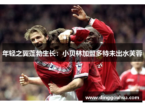 年轻之翼蓬勃生长：小贝林加盟多特未出水芙蓉